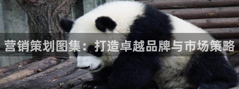 必赢集团网站改成多少