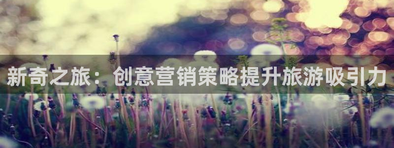 必赢手机版网站多少