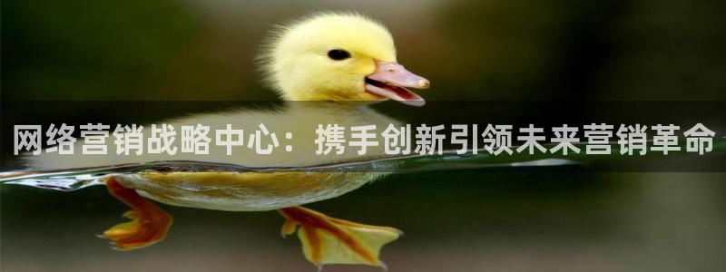 必赢下载安卓版官网